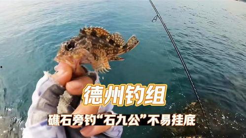 德州钓组视频,视频教学带你轻松上钩