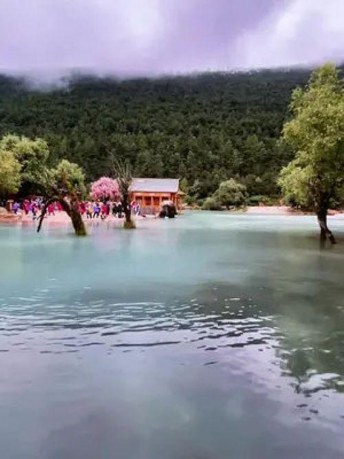 山水间视频,探寻自然之美，感受心灵共鸣