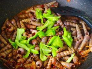 锥螺视频,创新与突破的视觉之旅