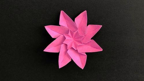 怎么秀花视频,如何通过视频教程轻松学会秀花技巧