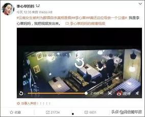 9丨视频在线观看,精彩内容在线一网打尽