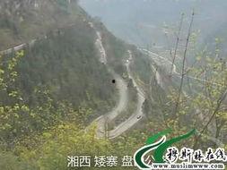 盘山公路视频,蜿蜒曲折，领略自然与人文的完美融合