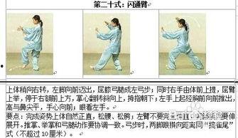 太及拳24式视频教程,一招一式，尽展中华武术魅力