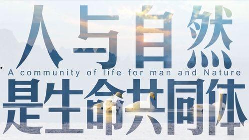 新华微视频,捕捉时代脉搏，展现中国故事