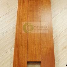 柚木视频,探索自然之美，感受生命力量