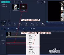 视频杂音,揭秘视频杂音背后的秘密