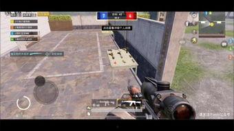 疯狂的龙视频,奇幻冒险之旅